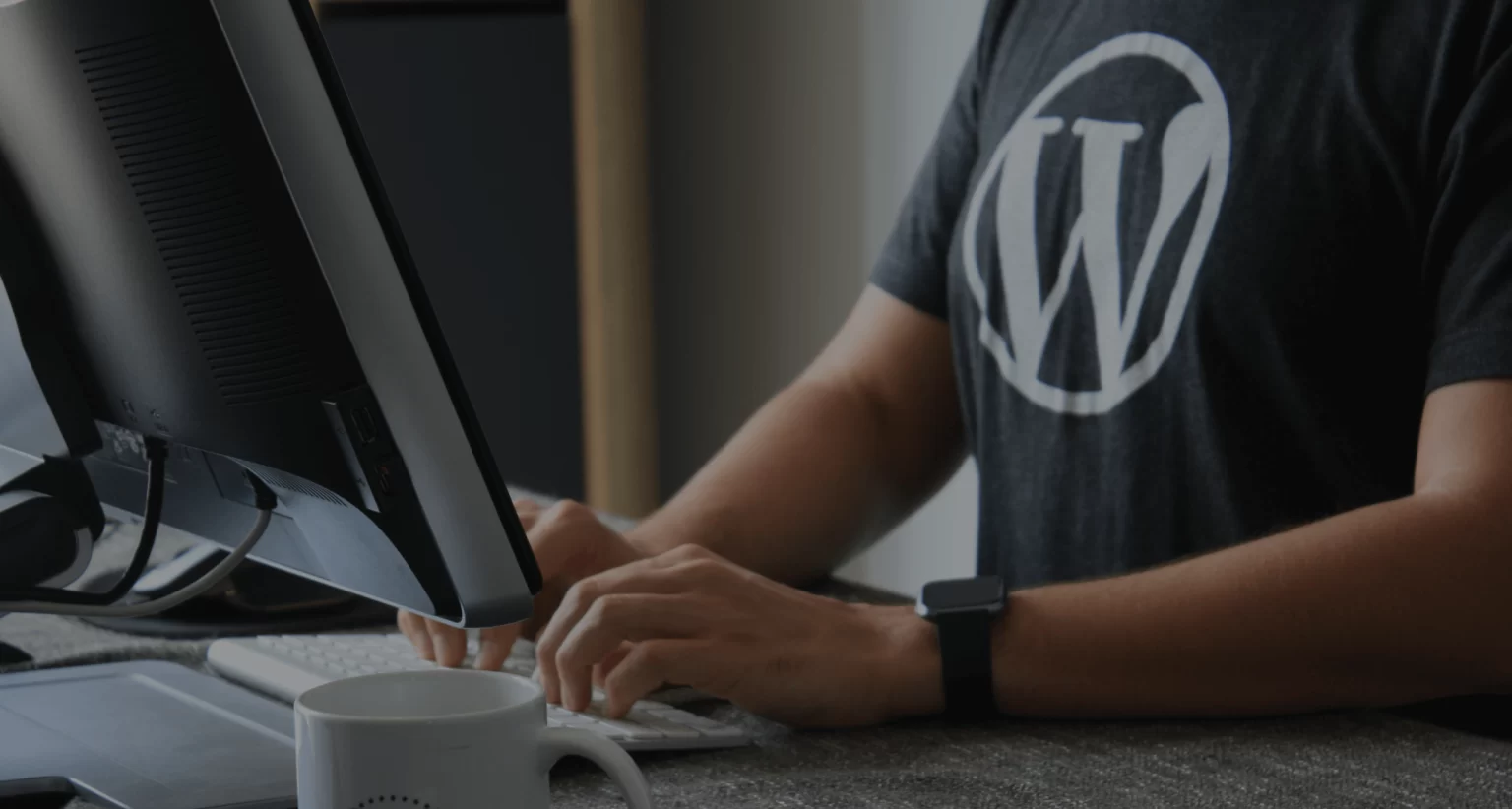Conheça os 20 Melhores Temas Gratuitos do WordPress
