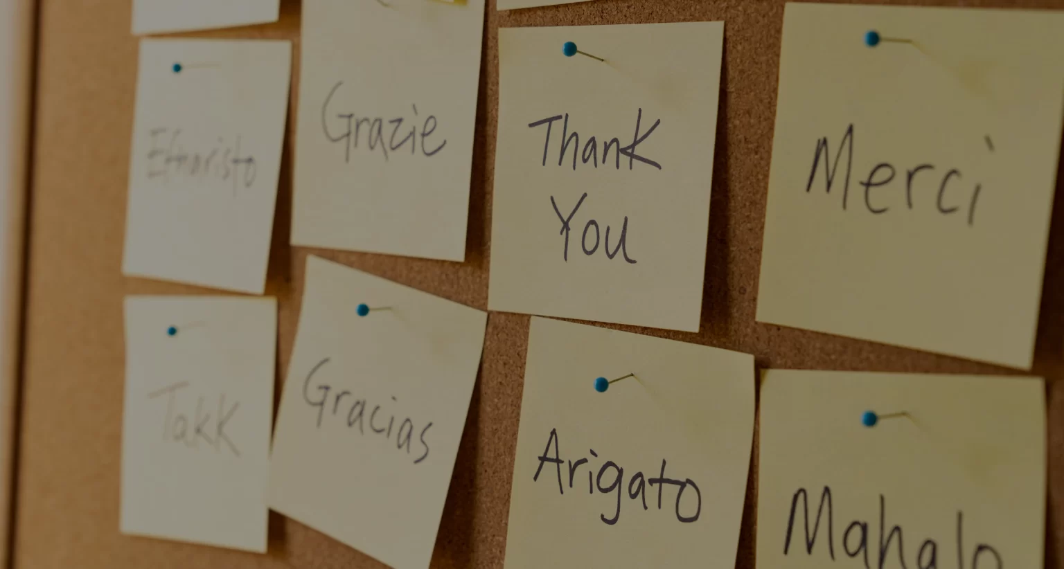 Crie um Site Multilíngue no WordPress e alcance Audiência Global